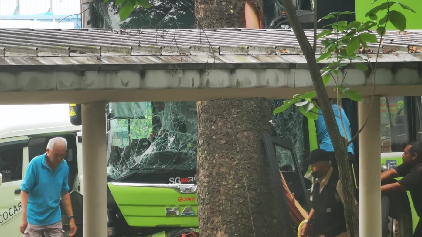 巴士撞向大树 一人受伤