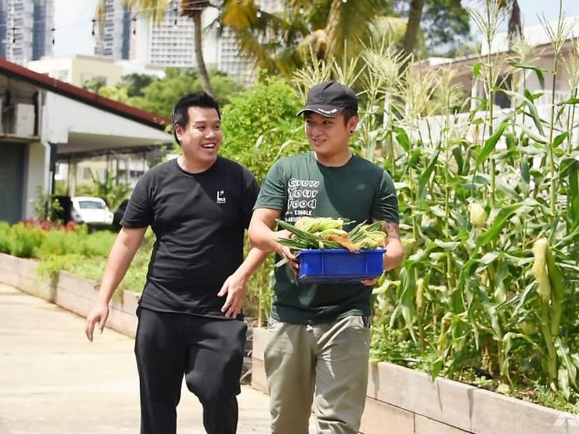 Why this Michelin star chef spends so much time on Singapore farms Why this Michelin star chef spends so much time on Singapore farms