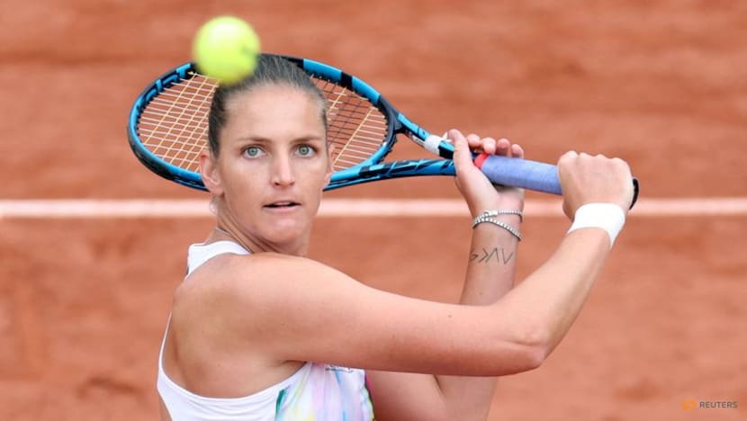 France's Jeanjean in the limelight with Pliskova win in Paris France's Jeanjean in the limelight with Pliskova win in Paris
