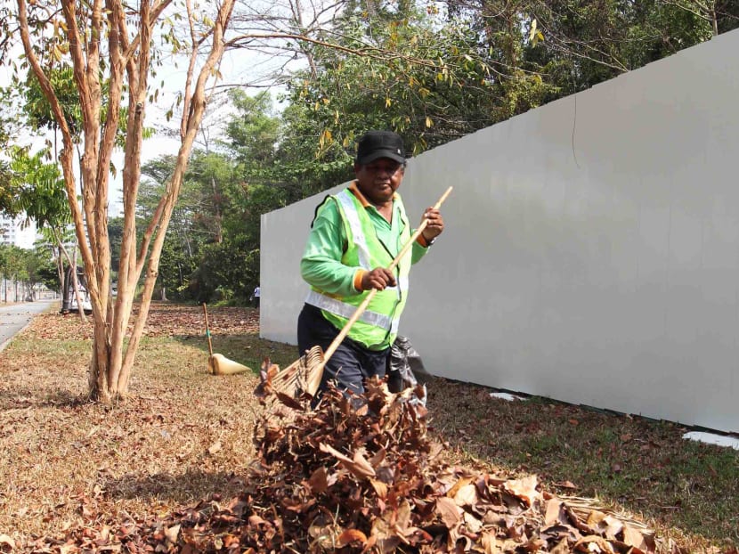 NEA steps up efforts to clear leaf litter to control mosquito population
