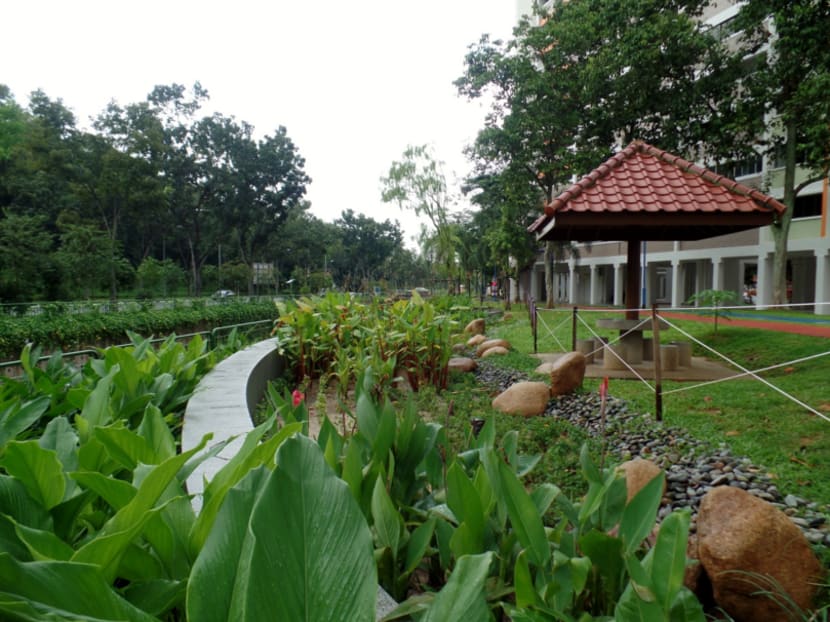 One of four rain gardens along Bukit Batok Canal. Photo: PUB