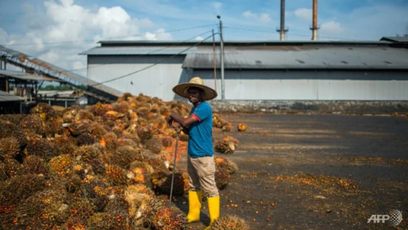 Malaysia could curb French purchases if palm oil use is restricted Malaysia could curb French purchases if palm oil use is restricted