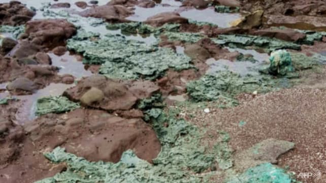 Scientists make 'disturbing' find on remote island: Plastic rocks