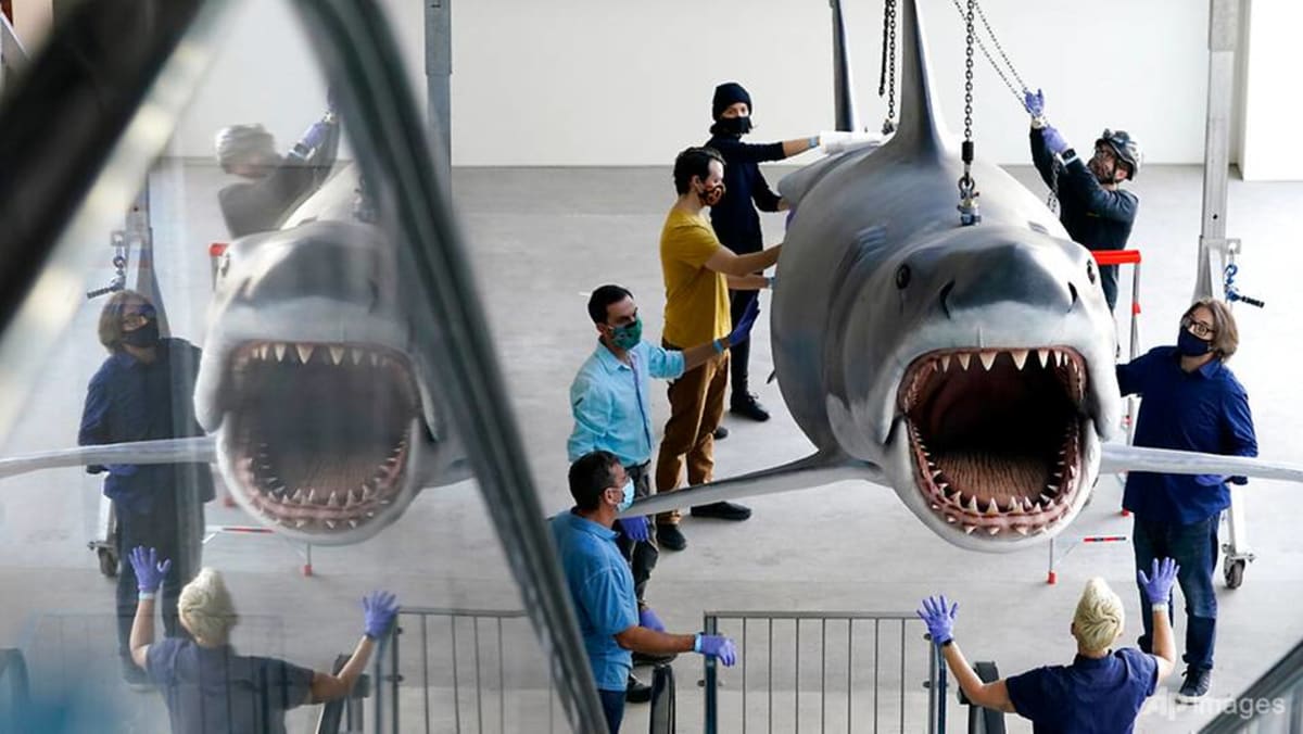 bruce-the-last-shark-from-the-film-jaws-docks-at-the-academy-museum