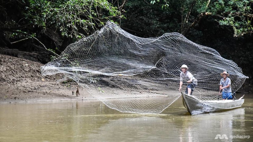 From behind shadows, indigenous Borneo tribes begin to embrace eco-tourism