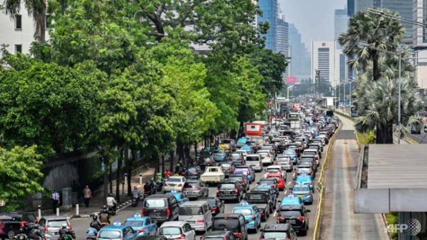 Indonesia's new capital to be decided this year: Minister Indonesia's new capital to be decided this year: Minister