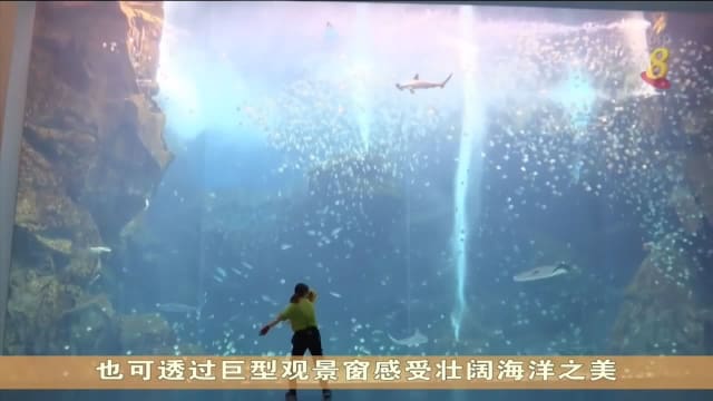 台湾打造水族馆与酒店二合为一海洋主题旅游新体验