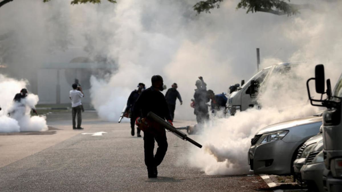 Insecticide fogging shop
