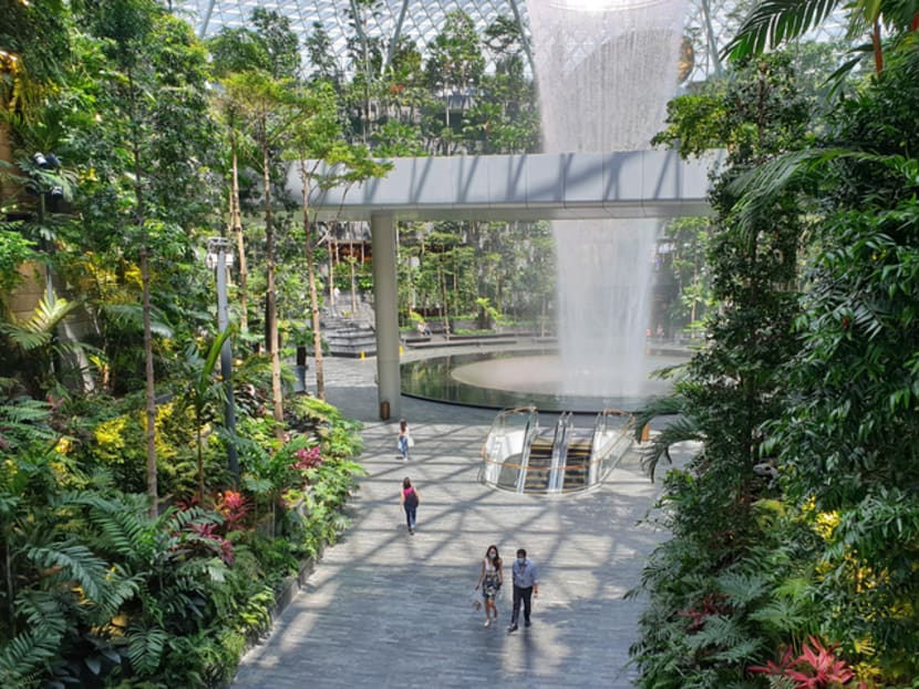 Not many people were at Jewel Changi Airport, including the Rain Vortex waterfall (pictured), when TODAY visited on June 14, 2021, the first day of its reopening after a month-long closure. Not many people were at Jewel Changi Airport, including the Rain Vortex waterfall (pictured), when TODAY visited on June 14, 2021, the first day of its reopening after a month-long closure.