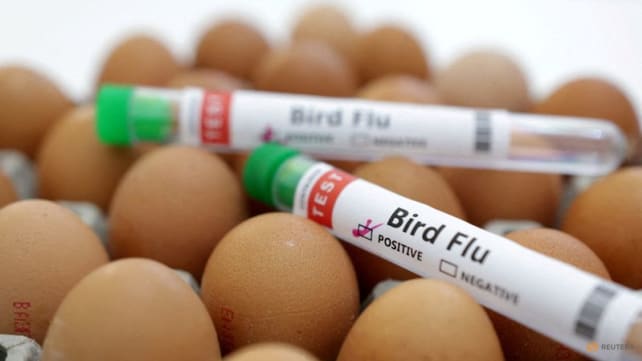 Australia reports first human avian flu infection