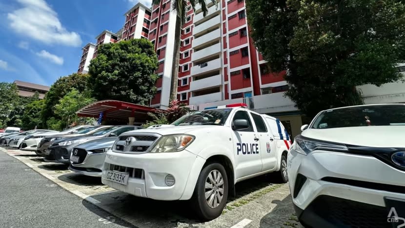 Lelaki didakwa bunuh penyewa tinggal sebumbung dengannya di Redhill Close Lelaki didakwa bunuh penyewa tinggal sebumbung dengannya di Redhill Close