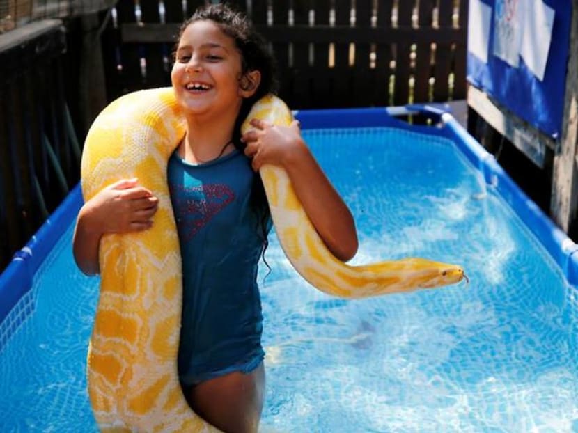 Israeli girl makes a splash with her pet snake Israeli girl makes a splash with her pet snake