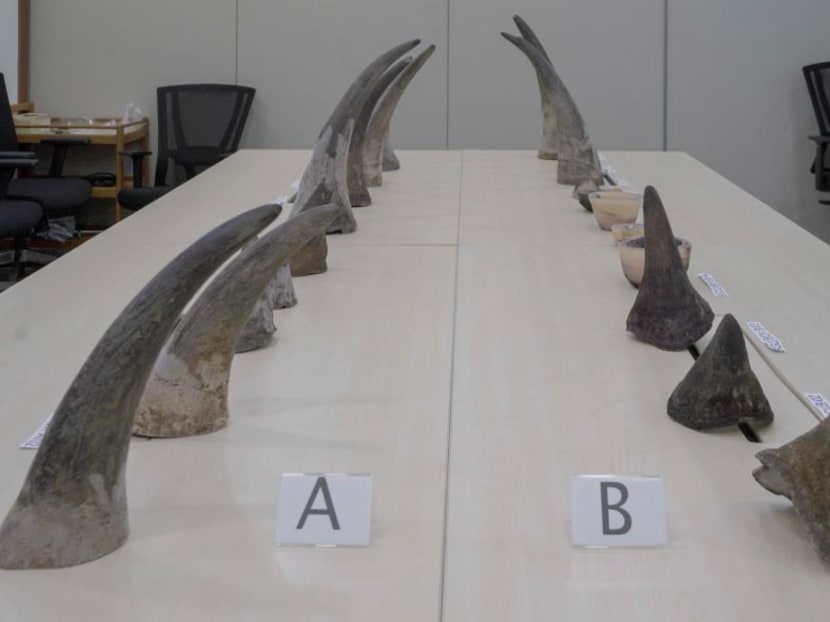 Twenty pieces of rhinoceros horns, weighing about 34kg in total, and estimated to be worth S$1.2 million, were seized on Oct 4, 2022 while in transit through Singapore.