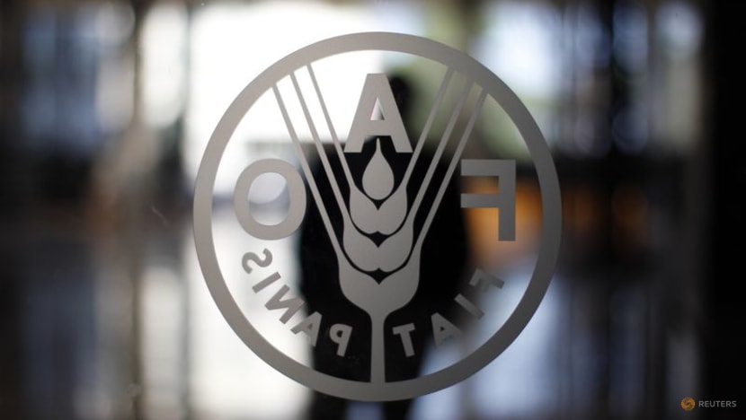 World food price index falls for sixth month in Sep: FAO World food price index falls for sixth month in Sep: FAO