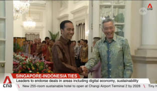 PM Lee, Indonesian President Widodo to meet in Bogor for annual Leaders' Retreat on Apr 29