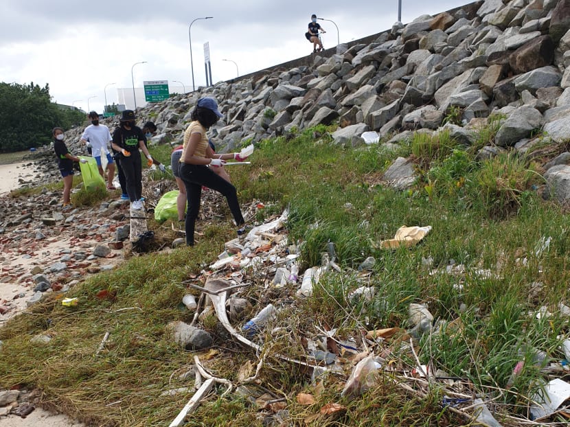 Participants pick up trash along Yishun Dam during a coastal clean-up organised by sustainability firm Green Nudge. Participants pick up trash along Yishun Dam during a coastal clean-up organised by sustainability firm Green Nudge.