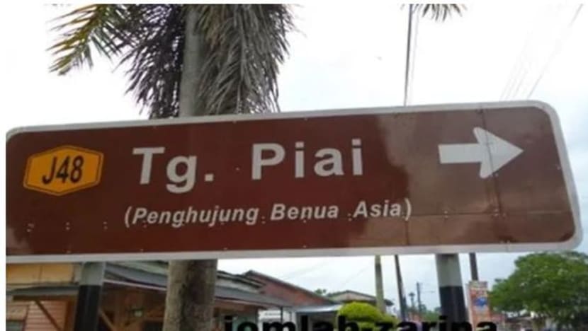 PH ada peluang menang Tanjung Piai jika pemimpin turun padang, kata Dr Mahathir