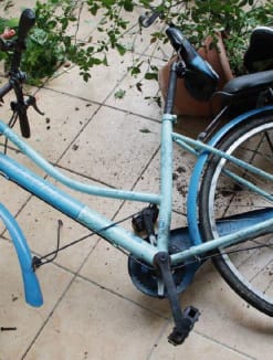 A bicycle thrown from the 14th floor of a Housing and Development Board block which landed on the second storey, causing damage to some pots.