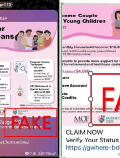 Screenshots of fraudulent infographics sent via messaging app Telegram.