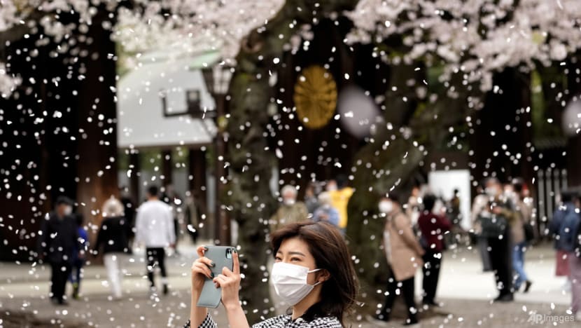 Commentary: Why are Singapore travellers so enamoured with Japan? Commentary: Why are Singapore travellers so enamoured with Japan?