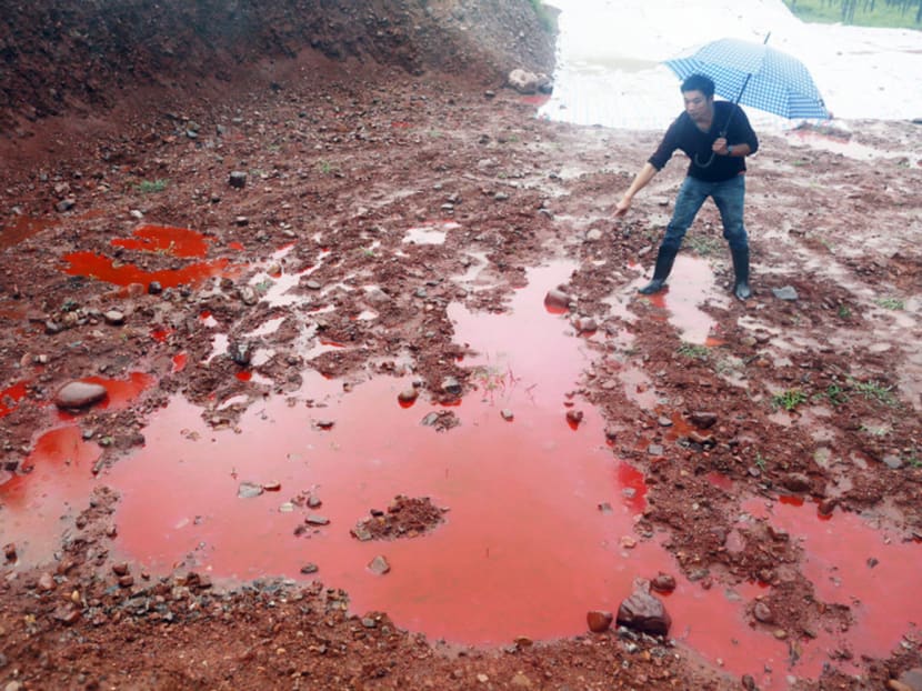 Water and soil damaged by industrial waste from a dye factory in Henan, China. Soil contamination is the latest environmental issue to receive Beijing’s attention since water and air pollution were addressed in 2015 and 2013, respectively. PHOTO: REUTERS