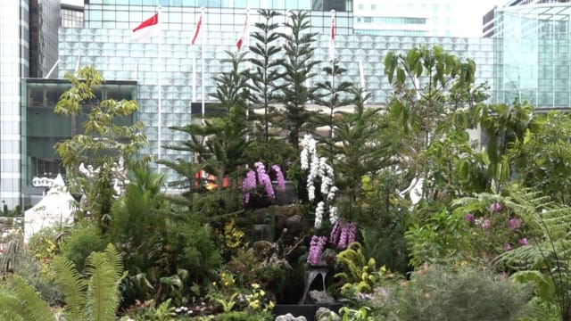 新加坡花园节紧密筹备中 将首次走入乌节路