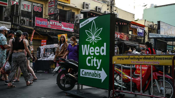 ‘A rubber band snapping back’: Thailand’s cannabis U-turn a return to political middle-ground, say observers