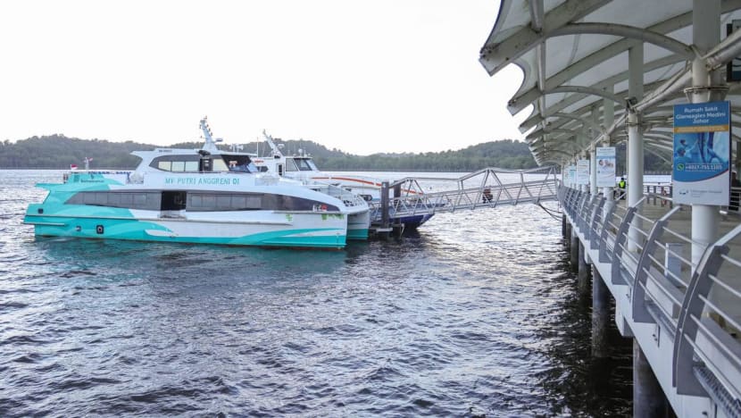 Singapore-Puteri Harbour ferry services may give tourists more options but not likely to ease Causeway congestion: Experts 