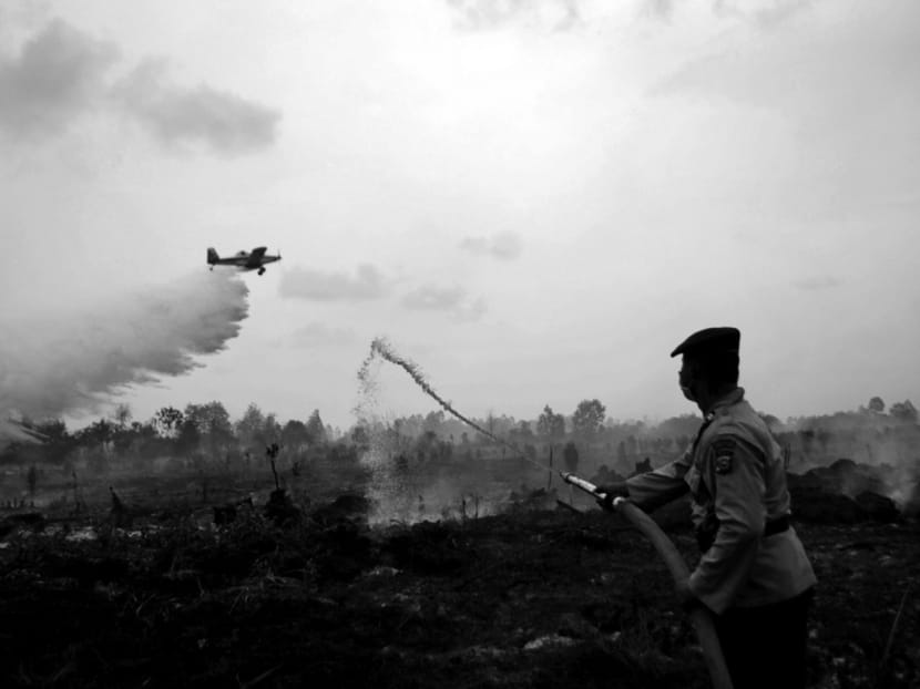 A water bomber drops its payload as a police officer helps to extinguish a peat fire in Kampar, Riau province, in August 2016. Photo: REUTERS