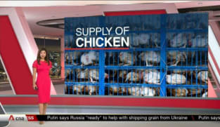 Industry trying to increase frozen chicken import from non-Malaysia suppliers: SFA | Video 