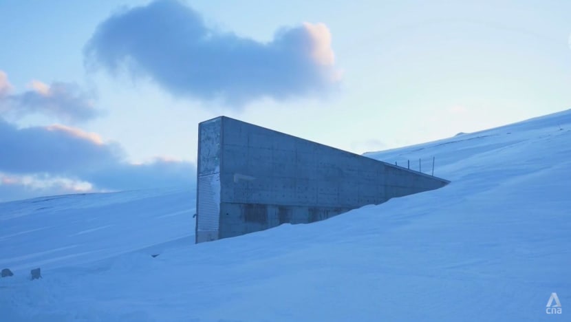 Global seed vault the world’s ‘ultimate insurance policy’ for future food security, say scientists