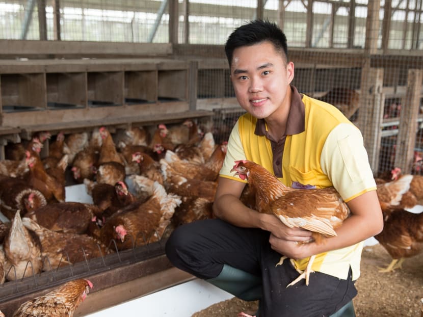 Mr Edvin Lim, director of Chew’s Agriculture. The company is building a new farm and equipping it with bigger cage-free amenities for hens to lay eggs.