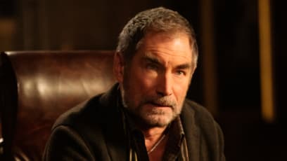 Timothy Dalton: We Don't Need Nudity In Movies