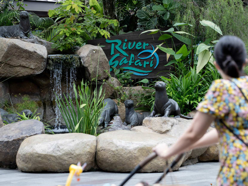 Mandai Wildlife Group unveiled new logos and branding for all its parks, including River Safari, which got a name change.