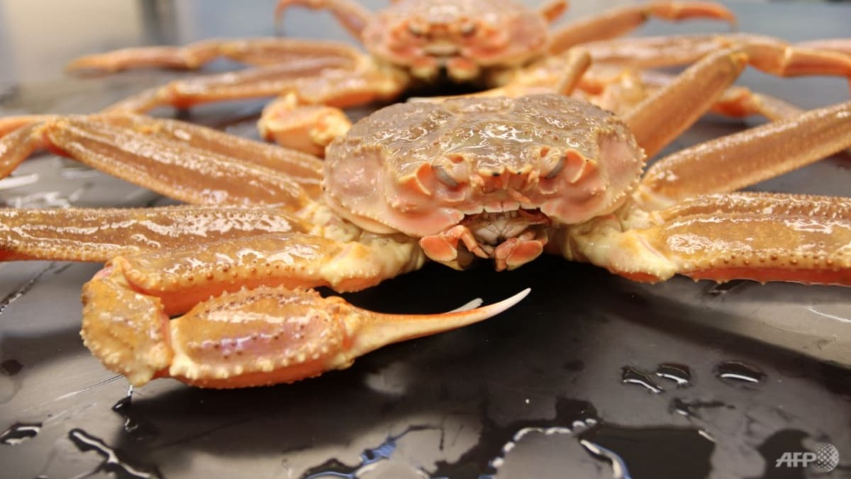 warming-waters-key-culprit-in-alaska-crab-mass-die-off
