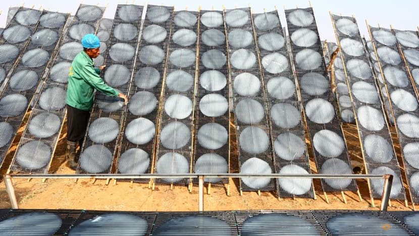 China to review anti-subsidy tariffs on potato starch imported from EU China to review anti-subsidy tariffs on potato starch imported from EU