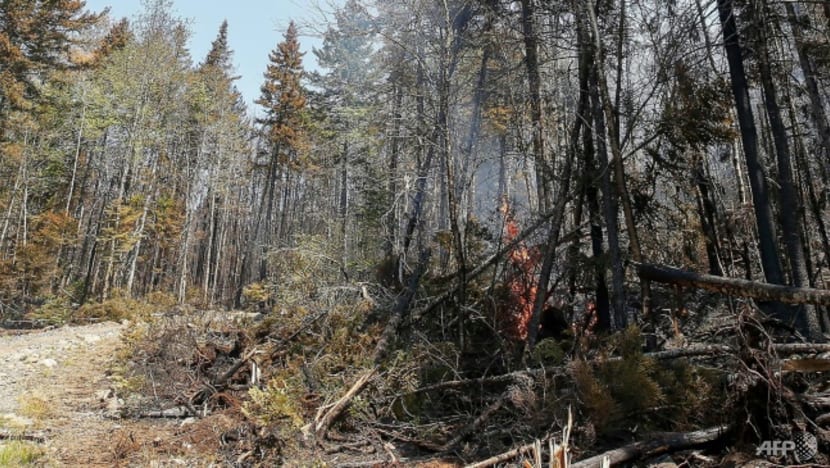 Canada's Quebec expects thousands more to flee wildfires