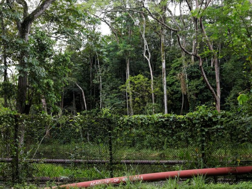 Ecuador nature reserve will take years to recover after oil exit-minister