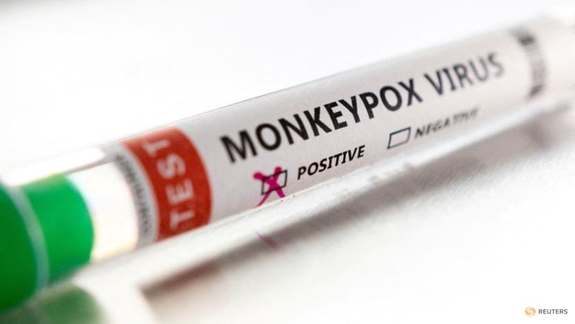 Reports of monkeypox in non-endemic countries suggests undetected transmission for some time, WHO says Reports of monkeypox in non-endemic countries suggests undetected transmission for some time, WHO says