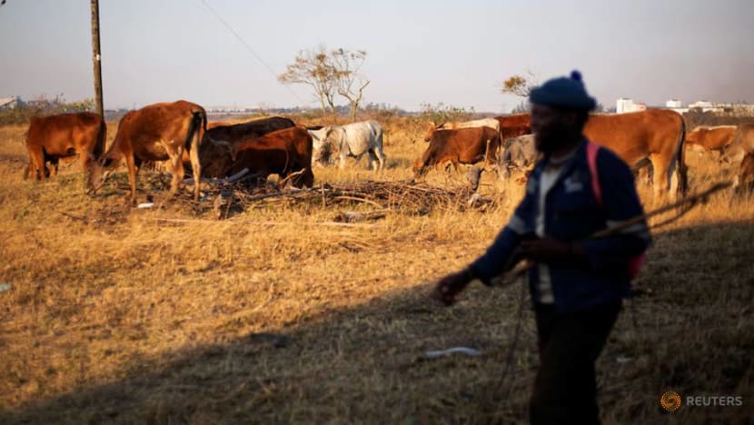 South Africa unemployment hits record 29% South Africa unemployment hits record 29%