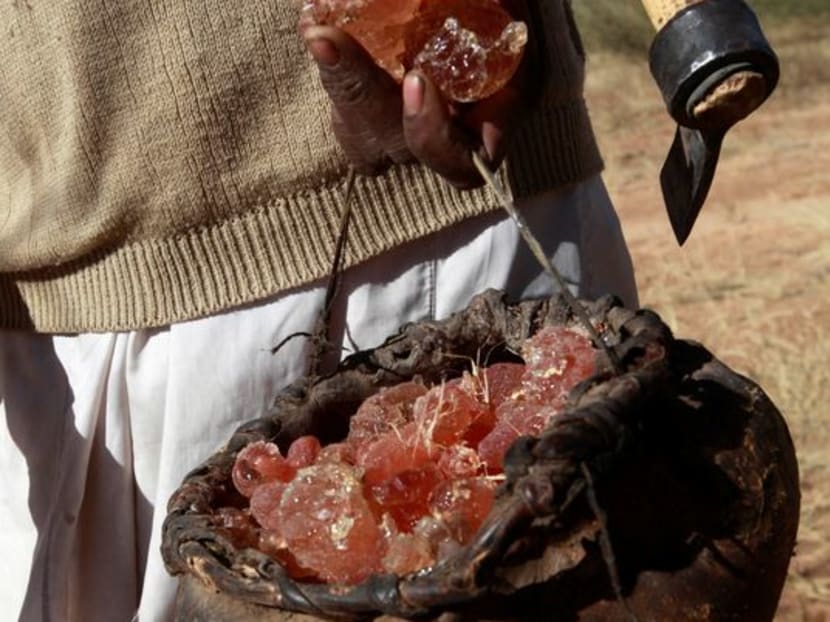 Sudan conflict threatens supply of key soft drink ingredient TODAY