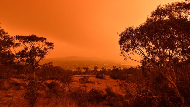 澳洲新南威尔士州野火已受控制