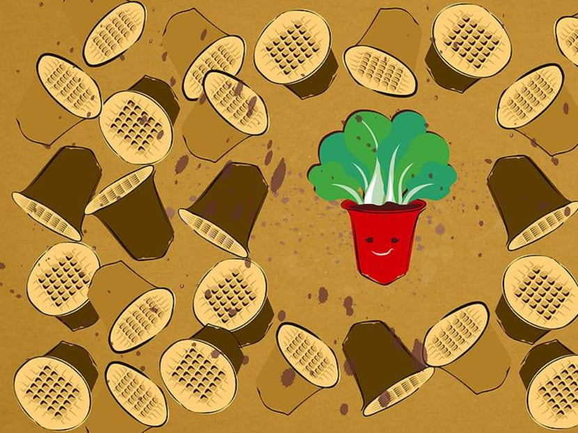 Your used coffee pods are being recycled to grow organic veggies in Singapore Your used coffee pods are being recycled to grow organic veggies in Singapore