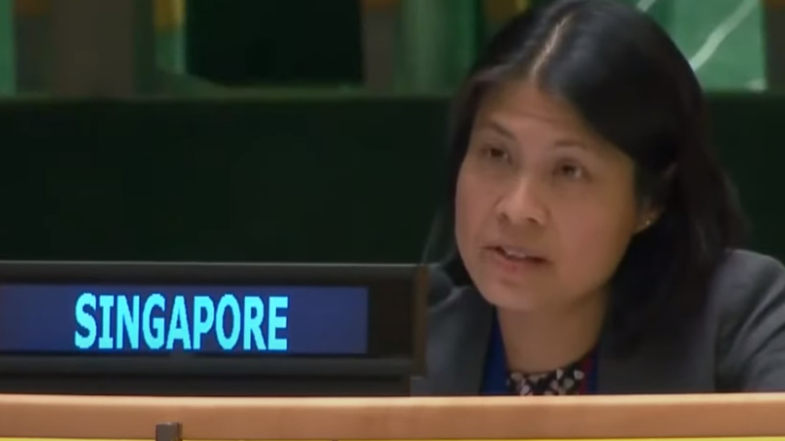 Singapore abstains from vote to suspend Russia from UN human rights body, urges support for inquiry on violations in Ukraine