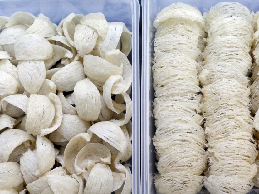Two styles of cleaned bird's nest, Yan Zhan (left) and Su Zhan (right) await repacking at a processing plant in Kuala Lumpur, Feb 17, 2015. Photo: Reuters