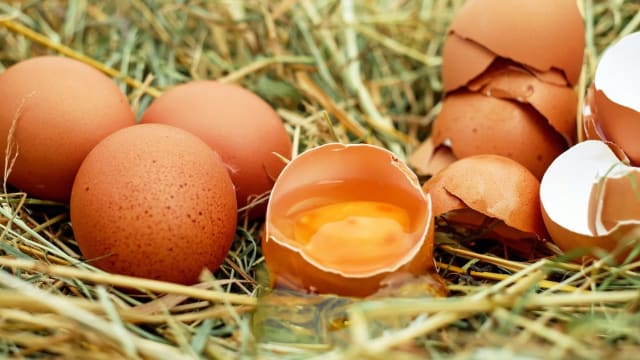 生鸡蛋比更熟鸡蛋更有营养？　打破吃蛋的3个误区