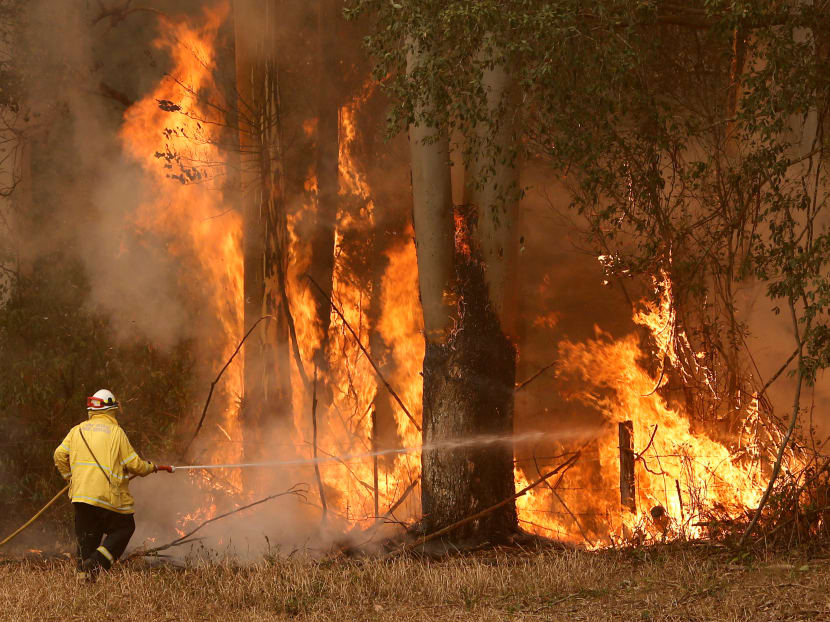 A Tuncurry fire crew member fights part of the Hillville bushfire south of Taree, in the Mid North Coast region of New South Wales, Australia on Tuesday (Nov 12).