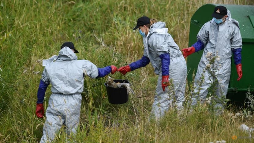 Poland says Oder tests so far not showing poison as cause of fish die-off Poland says Oder tests so far not showing poison as cause of fish die-off