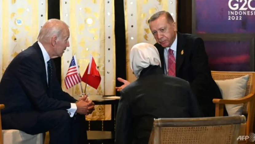 Biden, Erdogan bincang mengenai eksport bijiran: Rumah Putih Biden, Erdogan bincang mengenai eksport bijiran: Rumah Putih