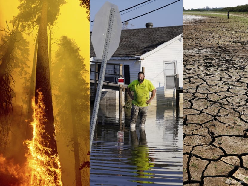 How a global carbon market could accelerate net zero How a global carbon market could accelerate net zero